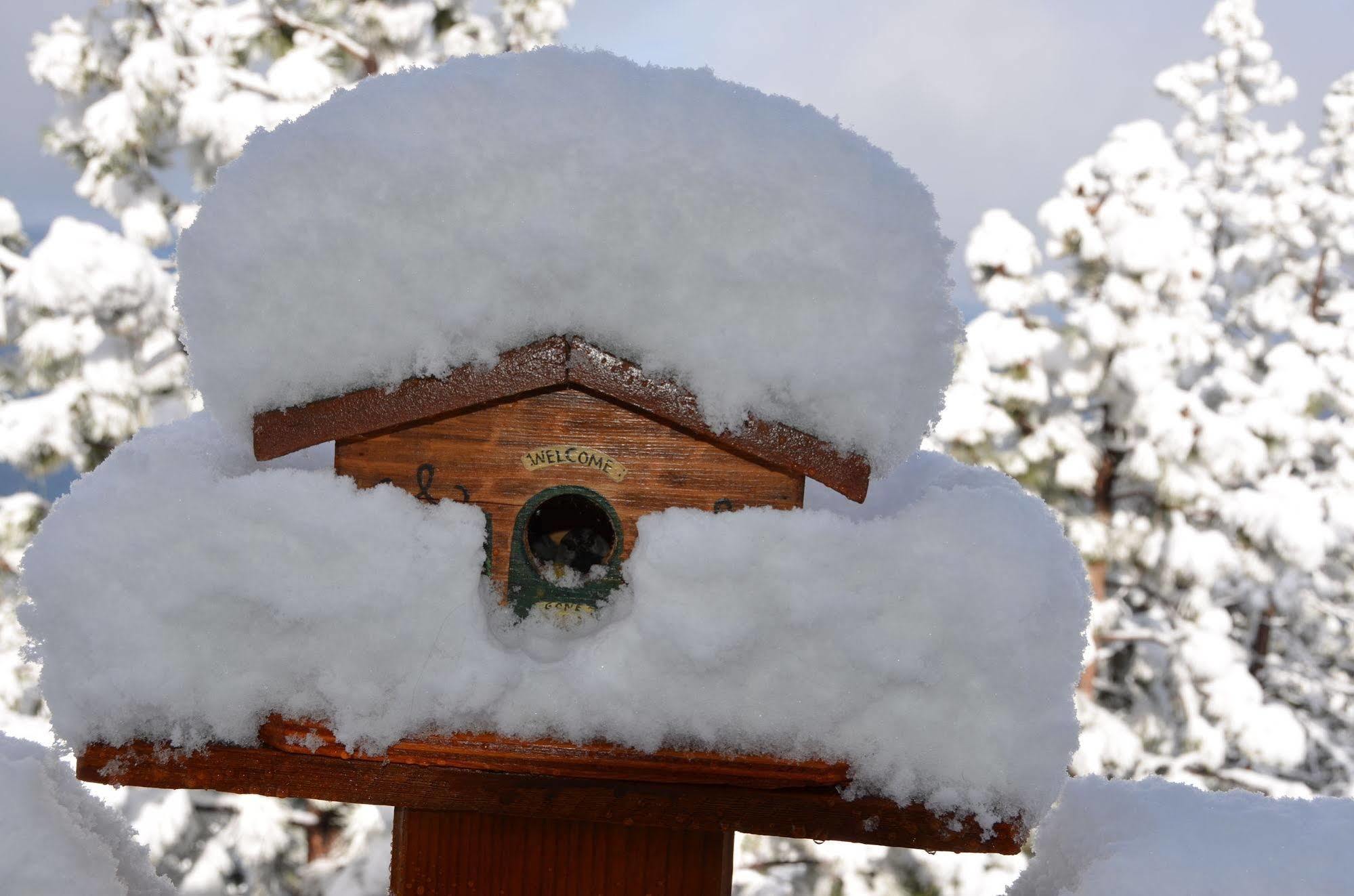 Where Eagles Fly Bed & Breakfast Elk Point Екстериор снимка