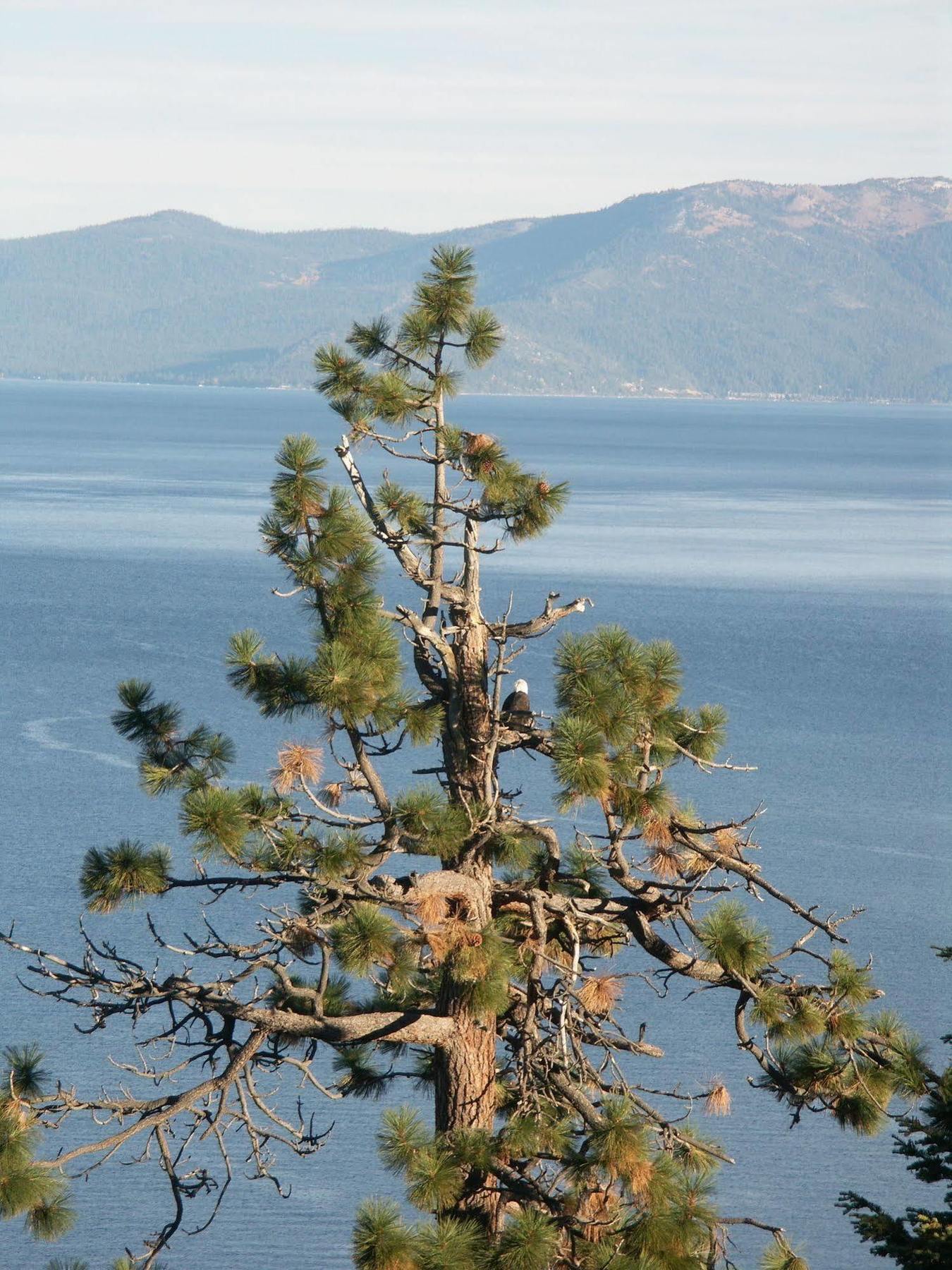 Where Eagles Fly Bed & Breakfast Elk Point Екстериор снимка
